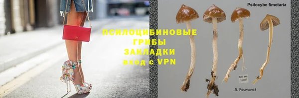МДПВ Магадан