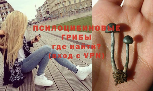 мяу мяу мука Майский
