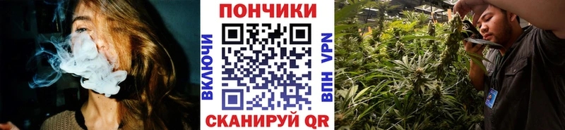 как найти закладки  Ангарск  shop формула  Шишки марихуана сатива 